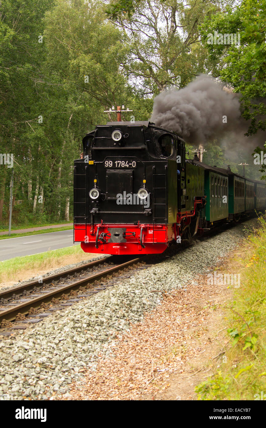 Rügensche Bäderbahn or Rasender Roland narrow gauge railway, Rügen, Mecklenburg-Western Pomerania, Germany Stock Photo