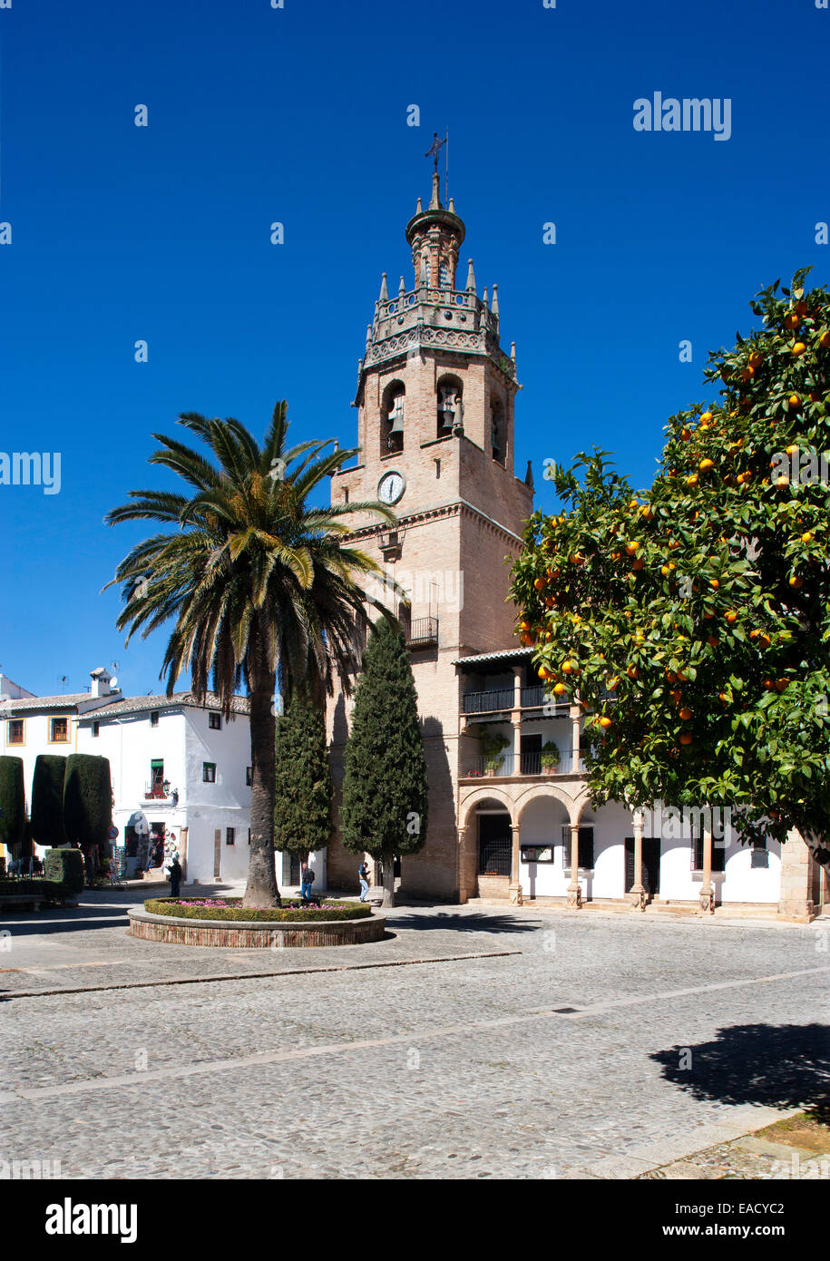 Church of Santa Maria la Mayor, Plaza Duquesa de Parcent, orange tree, historic centre, Ronda, Province of Malaga, Andalusia Stock Photo