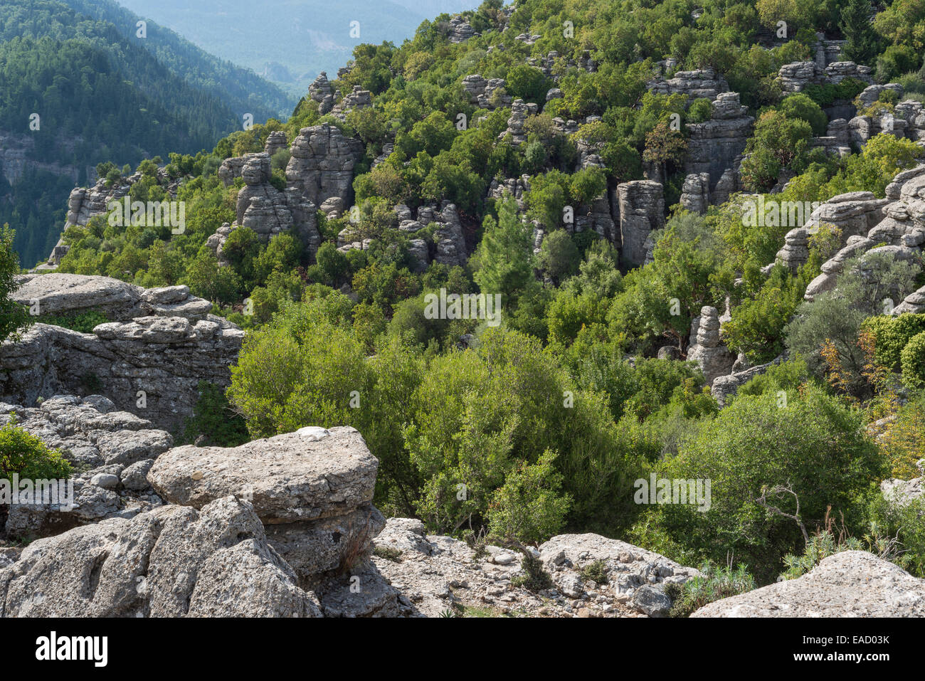 Rocky landscape in Köprülü Canyon National Park, Taurus Mountains, Antalya Province, Turkey Stock Photo