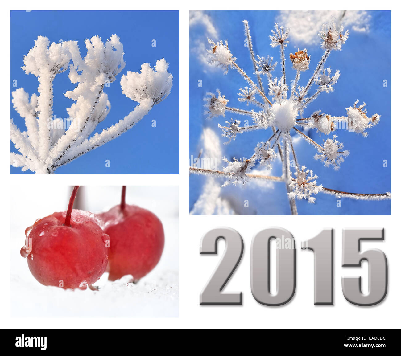 Card 2015 composed of pictures of nature in winter on  white background Stock Photo
