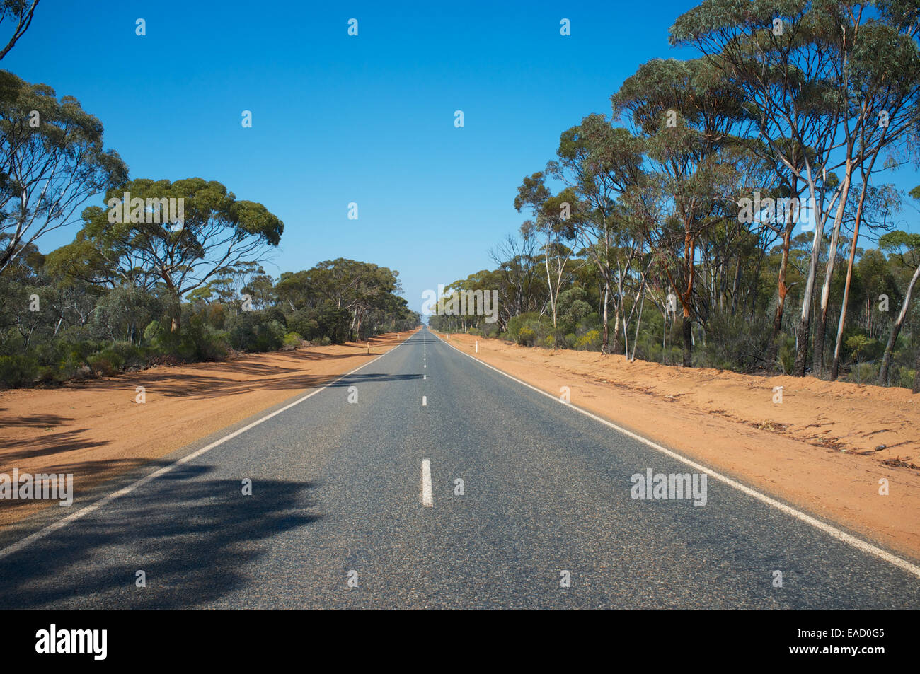 The road to Norseman in Western Australia. Part of my 2,600 mile drive