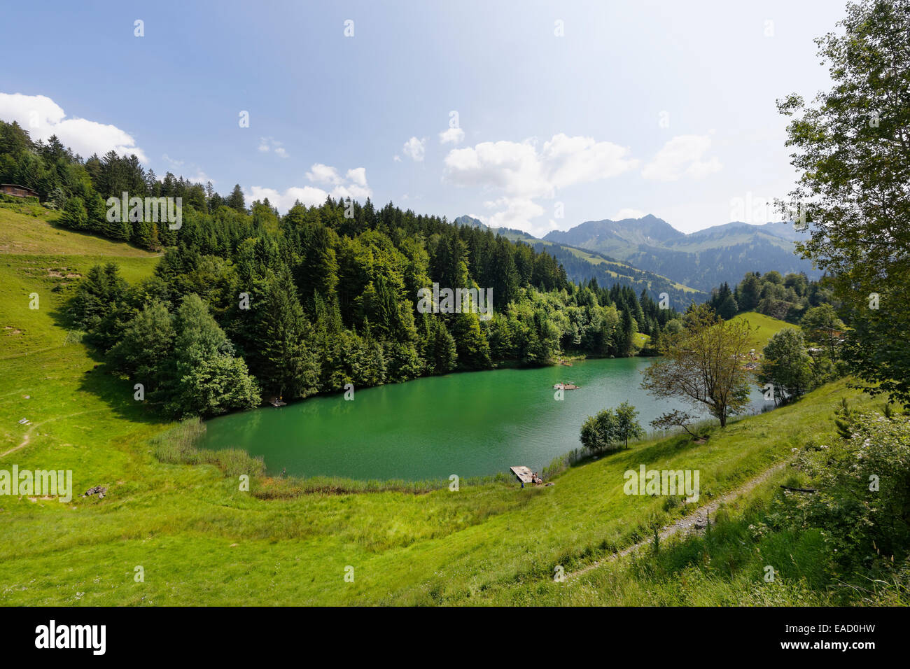 Seewaldsee lake near Fontanella, Großes Walsertal Biosphere Reserve, Vorarlberg, Austria Stock Photo