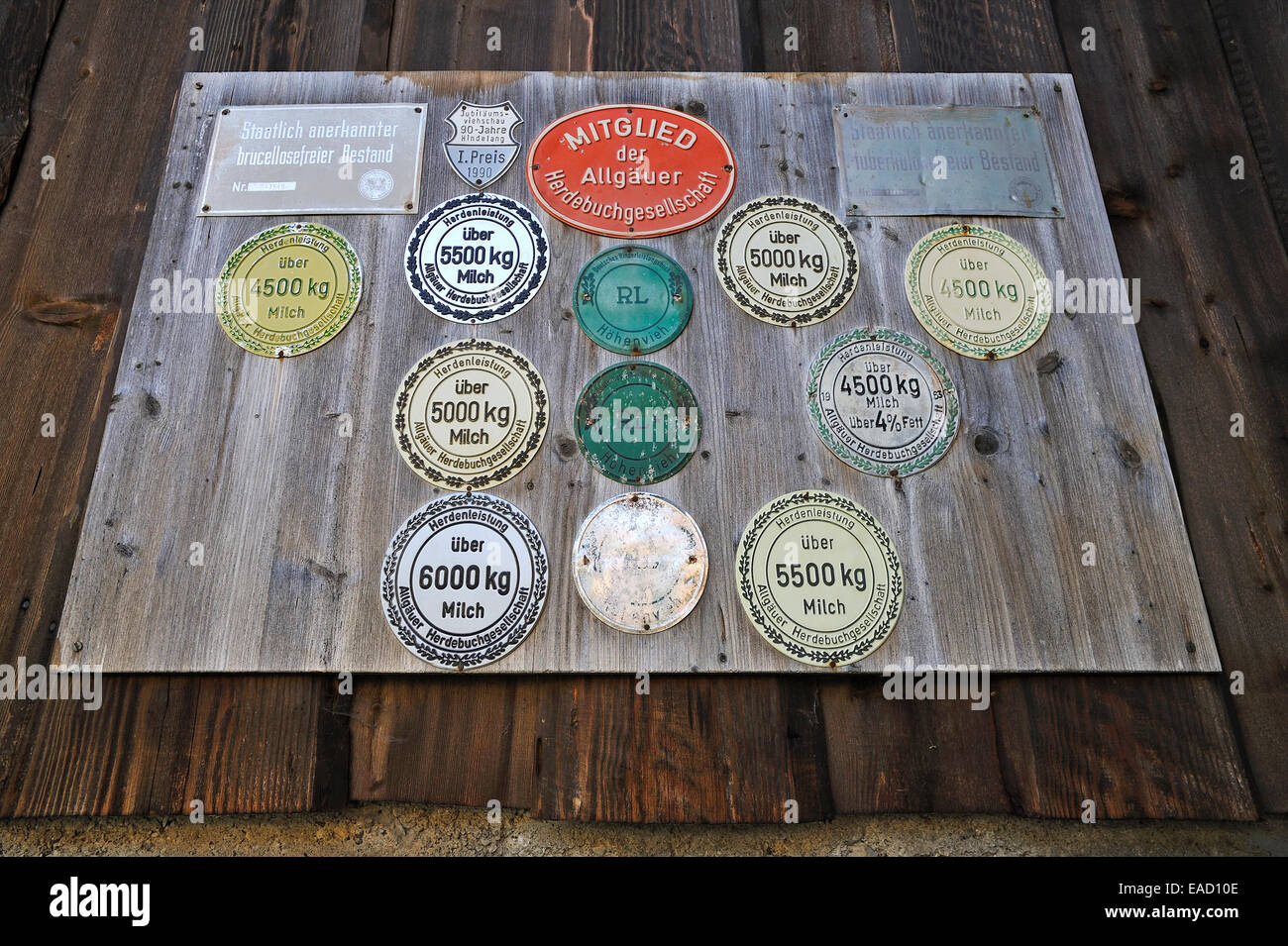 Panel with award plaques for milk yield on a cowshed, Bad Hindelang, Upper Allgäu, Bavaria, Germany Stock Photo