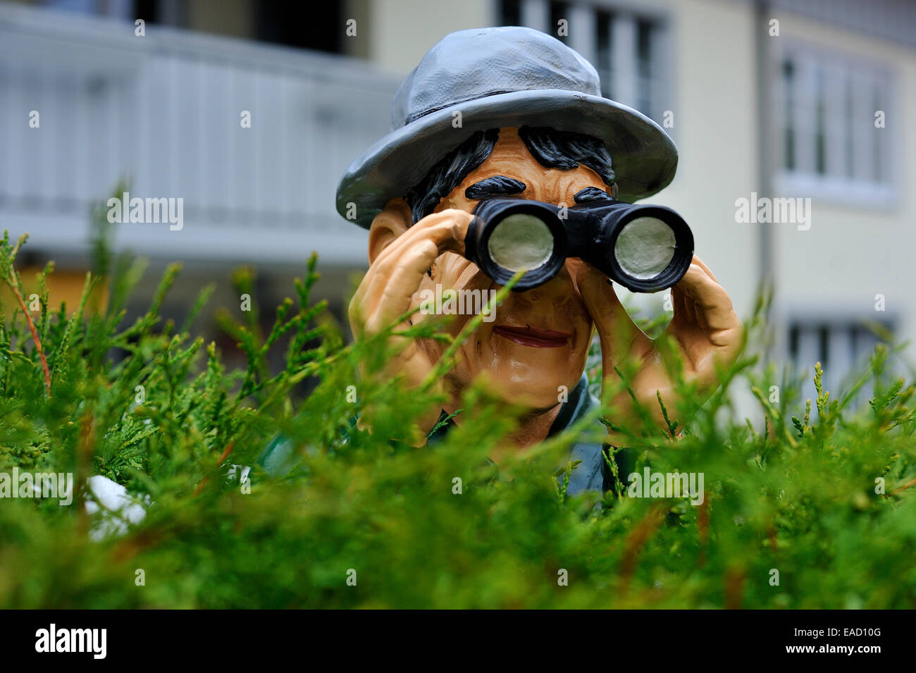 Man spying bushes binoculars hires stock photography and images Alamy