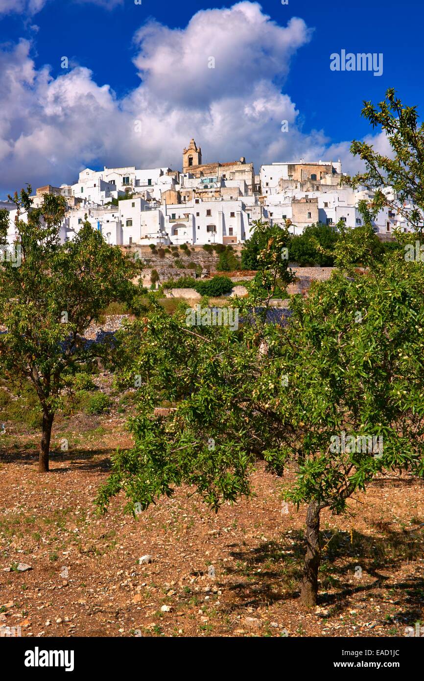 The medieval fortified hill town of Ostuni, 'La Città Bianca', 'the White Town', Ostuni, Apulia, Italy Stock Photo