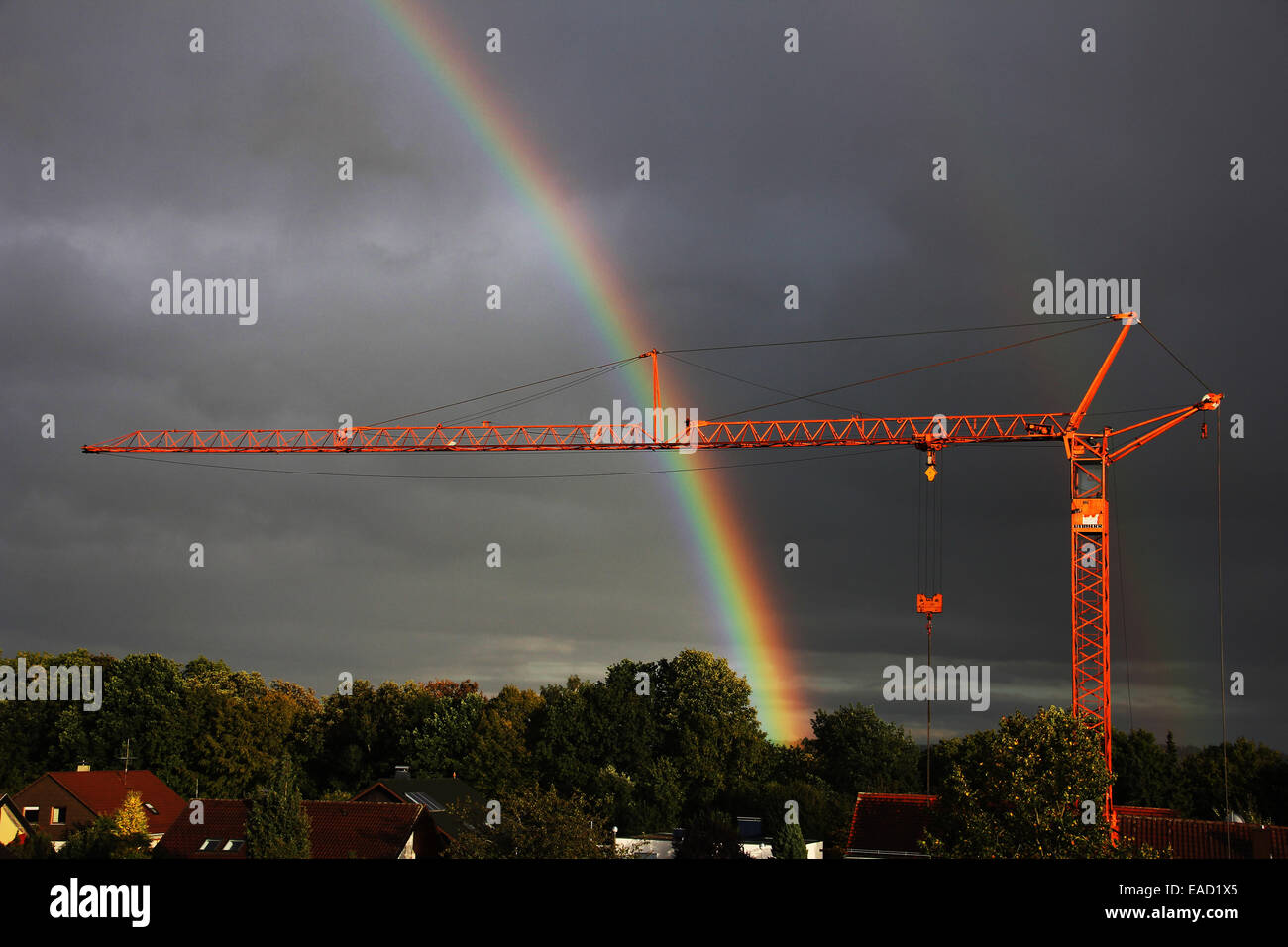Crane in front of a rainbow, Biberach an der Riss, Upper Swabia, Baden-Württemberg, Germany Stock Photo