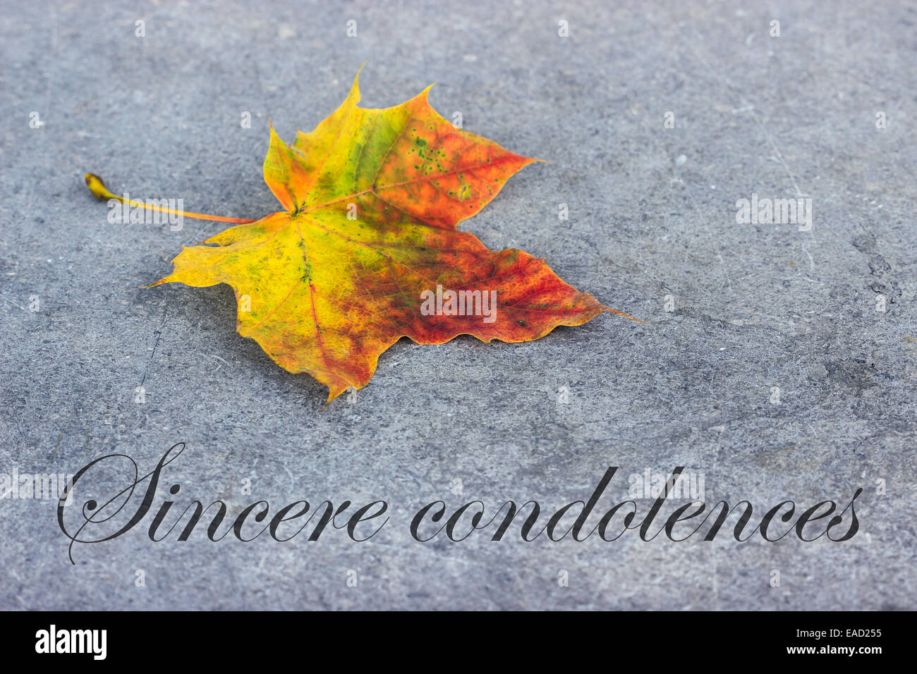 english mourning card with autumn leaves Stock Photo