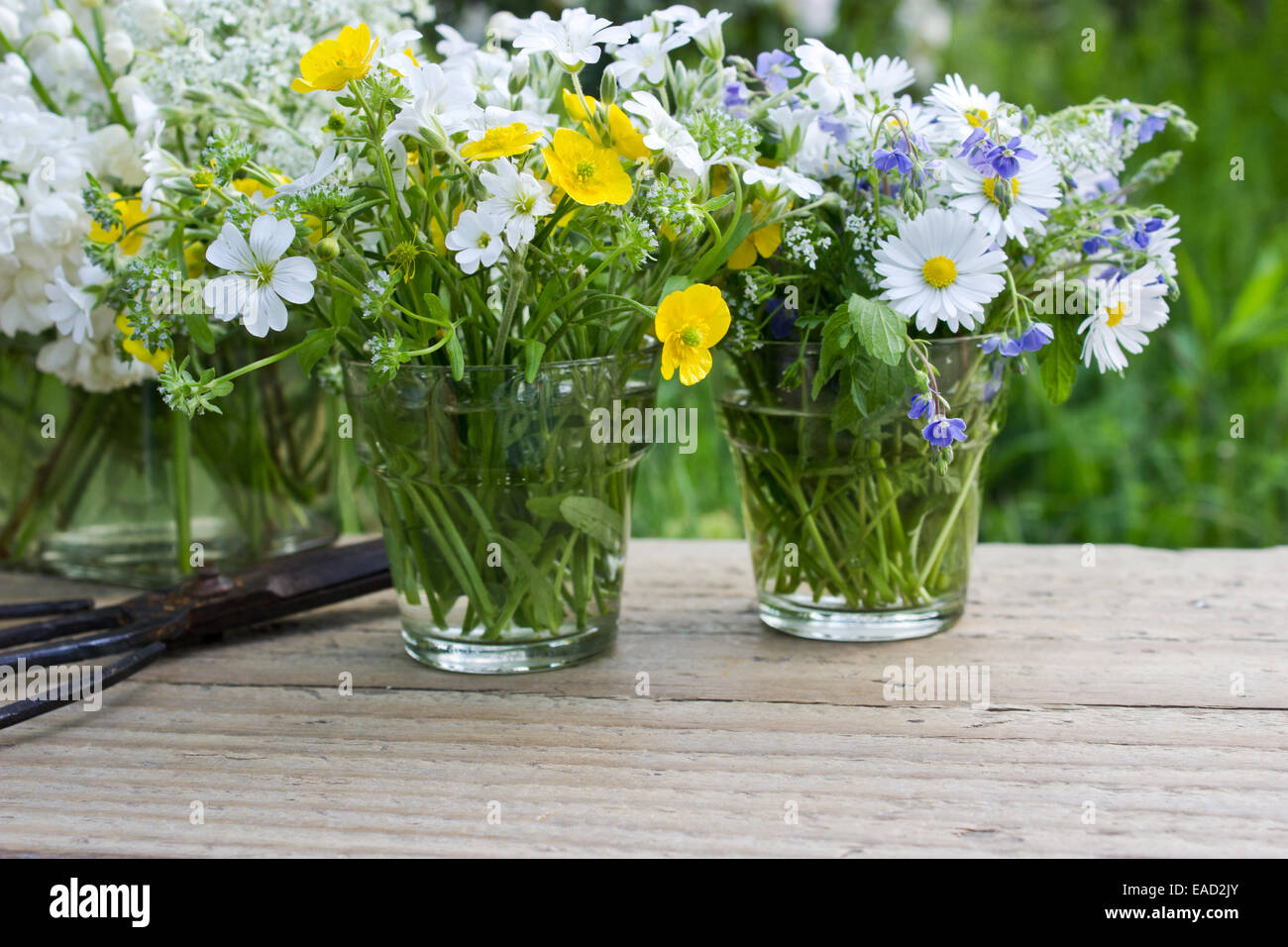 vases with wildflowers and scissors Stock Photo Alamy