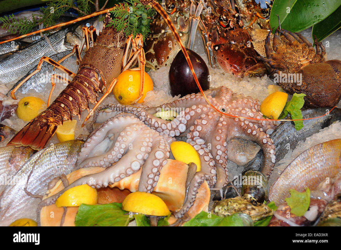 Seafood on ice, Crete, Greece Stock Photo