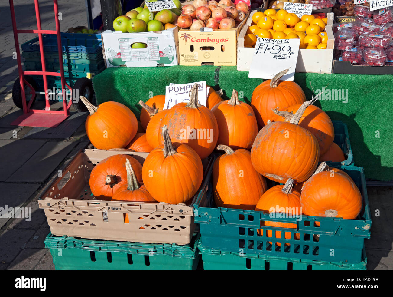 Pumpkins for sale on market stall display Yorkshire England UK United Kingdom GB Great Britain Stock Photo