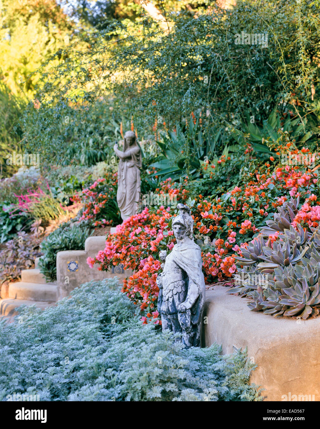 flowering desert garden with sculpture in Los Angeles Stock Photo