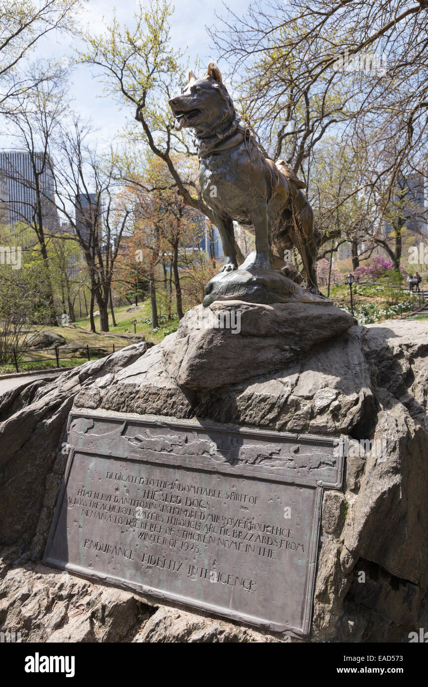 sled dog with statue in central park