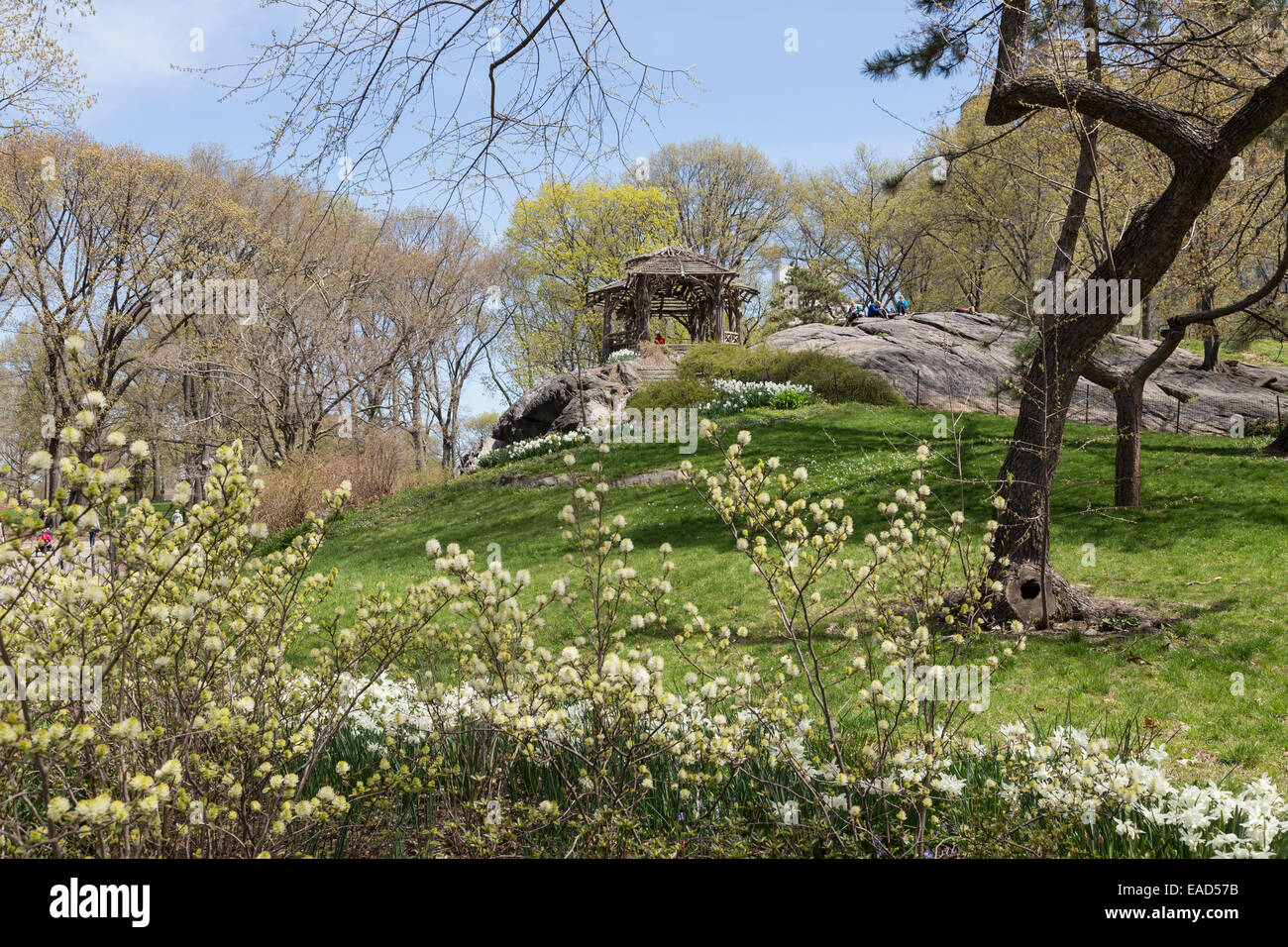 Wooden Gazebo in Central Park, NYC, USA Stock Photo Alamy