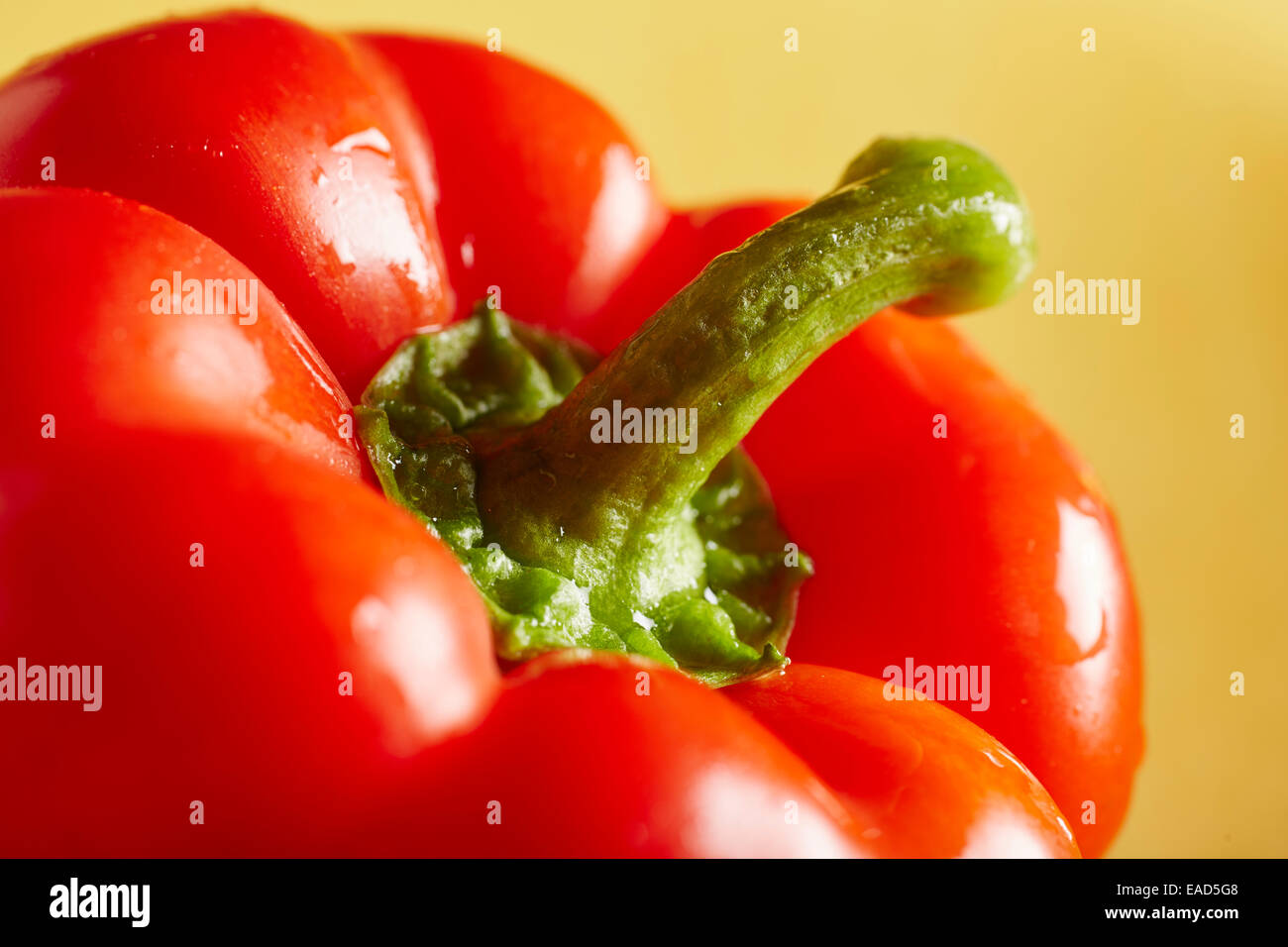 fresh red bell pepper Stock Photo