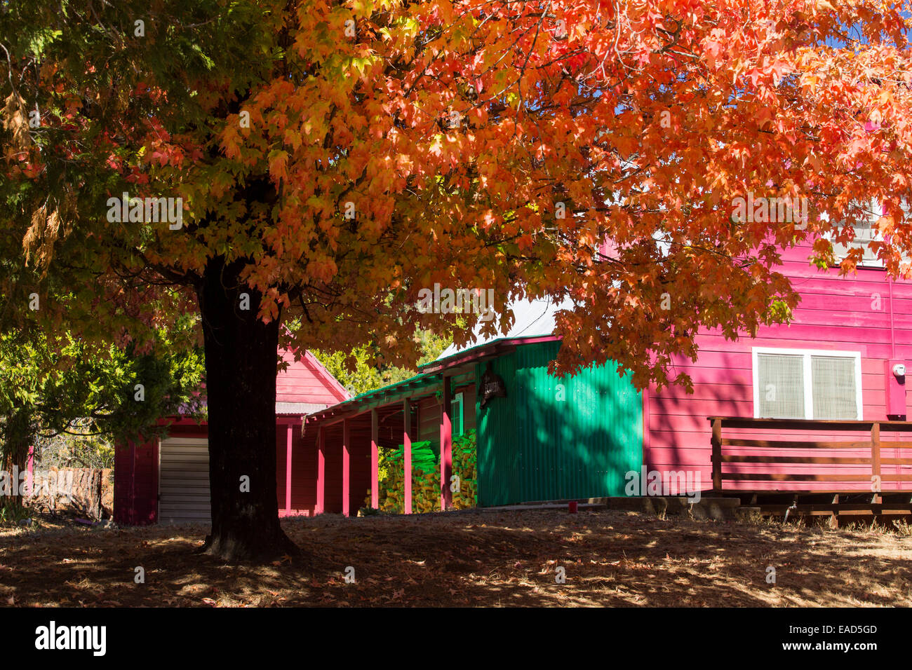 Fall colours around a house near springville, Tule river, California, USA. Stock Photo