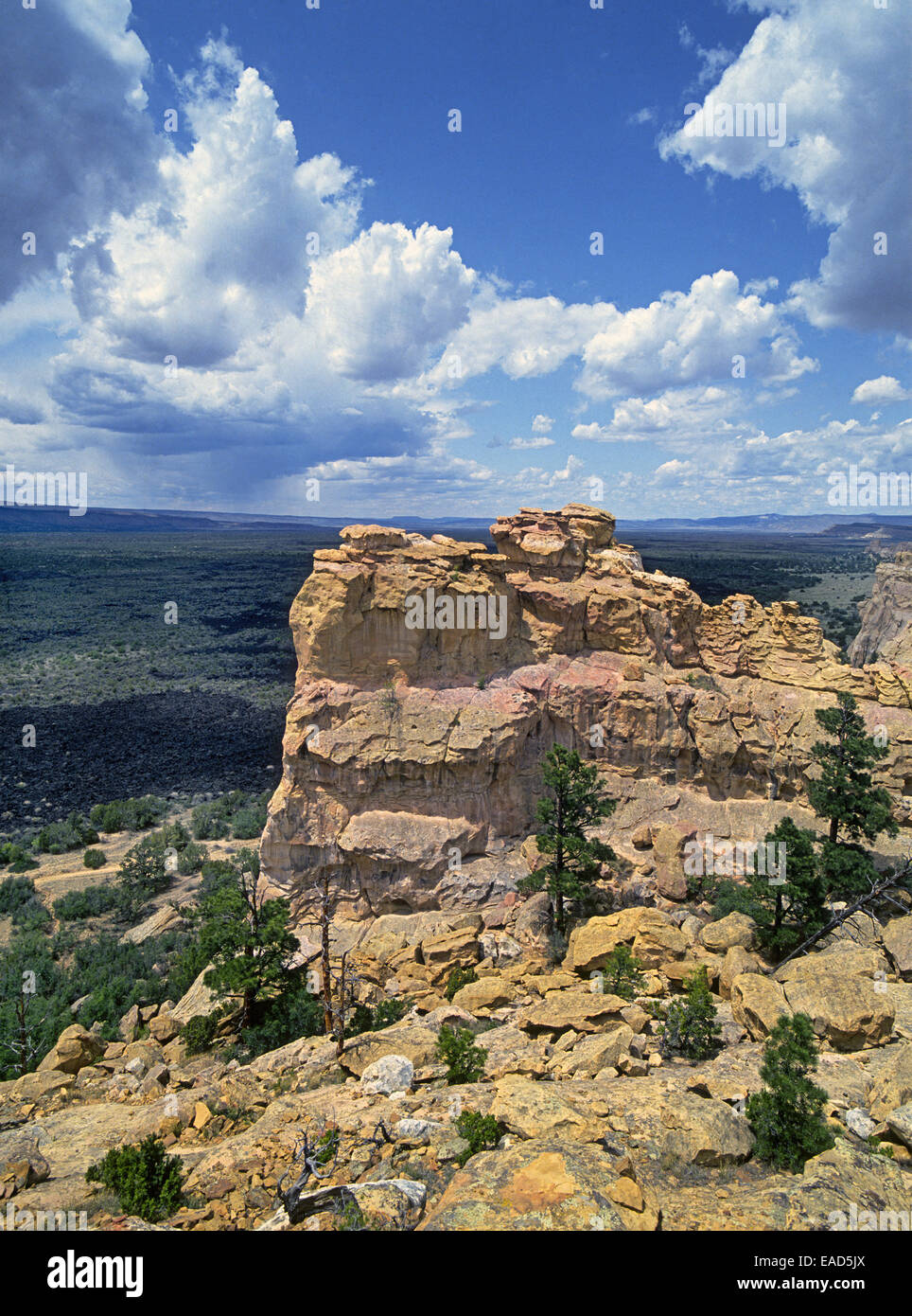 Sandstone formations overlook a massive lava bed at El Malpais National