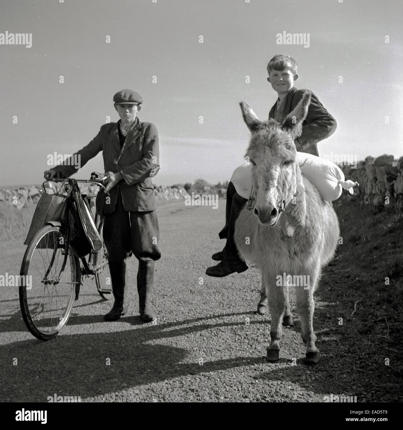 1950s, historical picture by J Allan Cash of two Irish boys outside on a rural country lane. One in plus-fours and a cloth cap is standing with his bicycle with shopping bags over the handlebars, while other boy is perched on a donkey, carrying a bag of flour, Ireland Stock Photo
