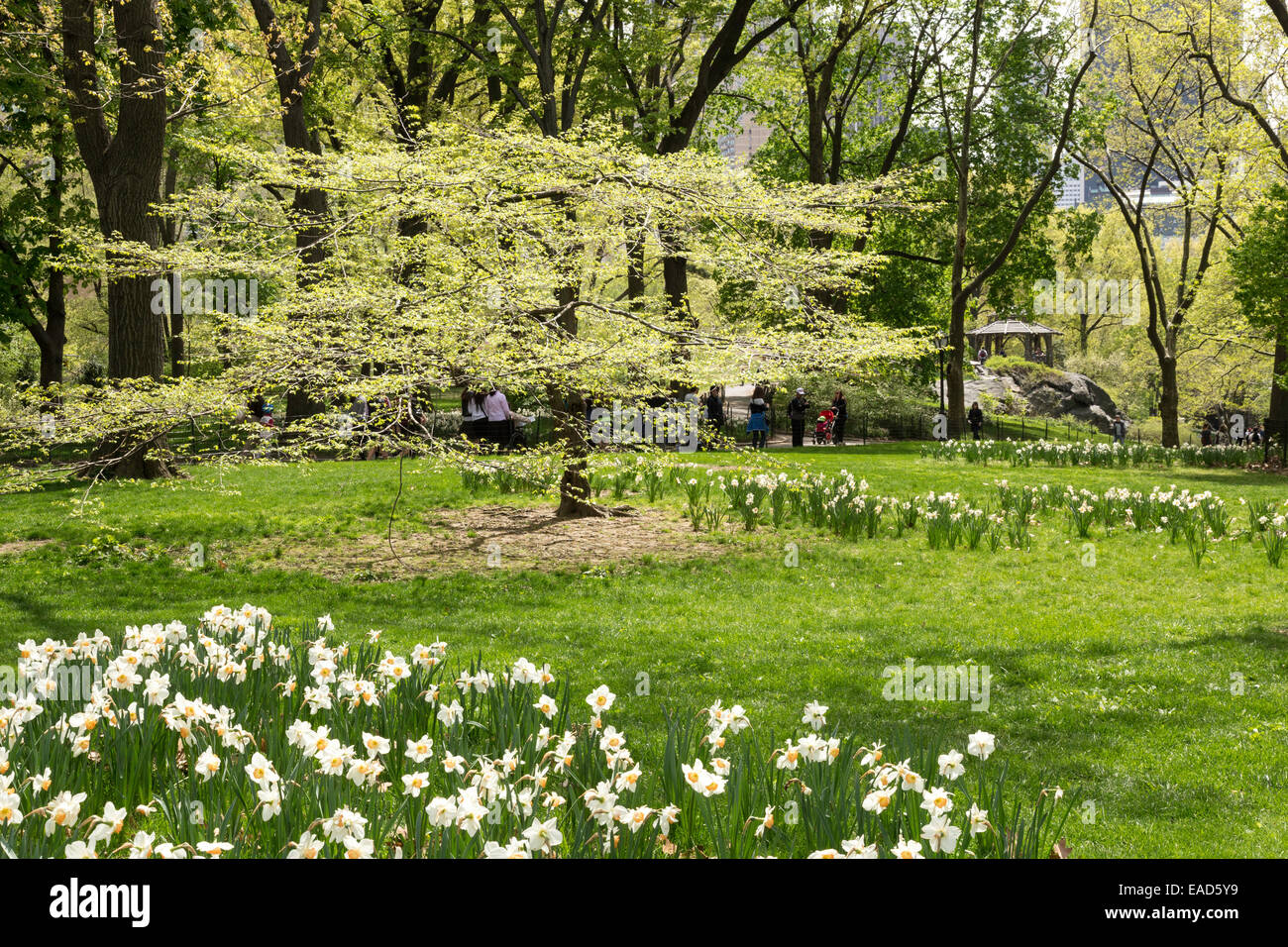 Wooden Gazebo in Central Park, NYC, USA Stock Photo Alamy