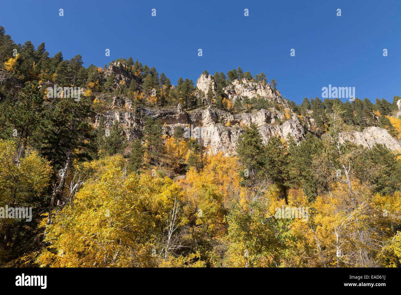 Spearfish Canyon, Black Hills National Forest, SD, USA Stock Photo Alamy