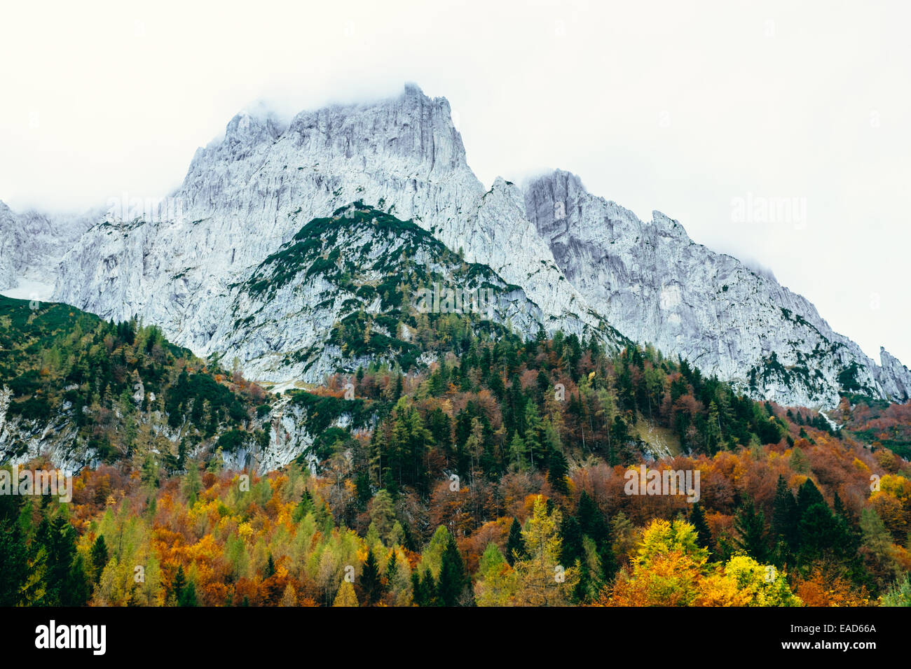 Wilder Kaiser in autumn, Tirol , Austria Stock Photo