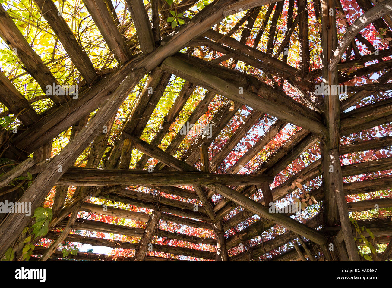 Wooden Gazebo in Central Park, NYC, USA Stock Photo Alamy