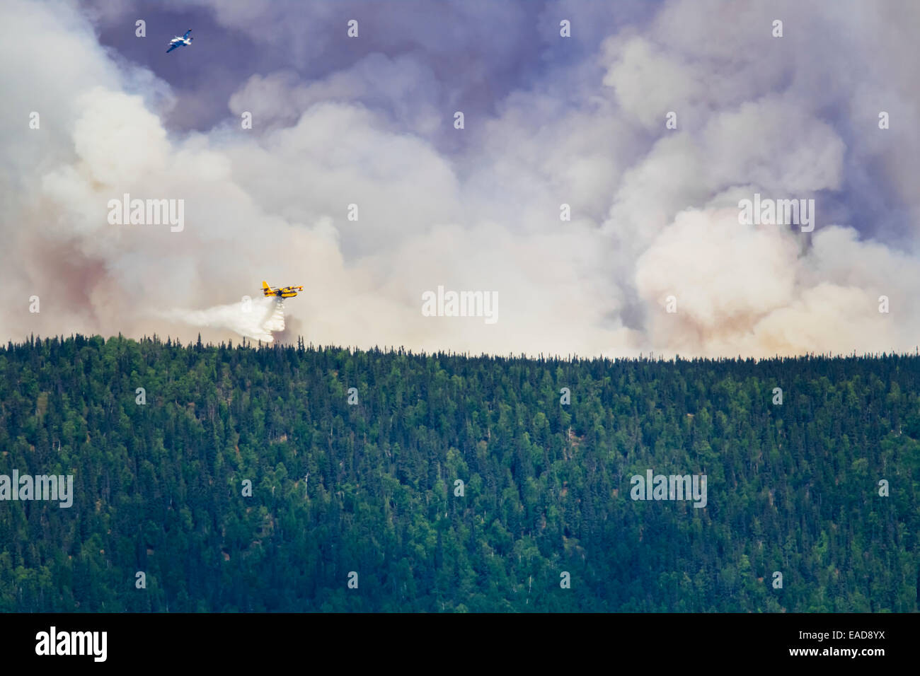 Forest Fire,Plane,Smoke,Firefighting Stock Photo