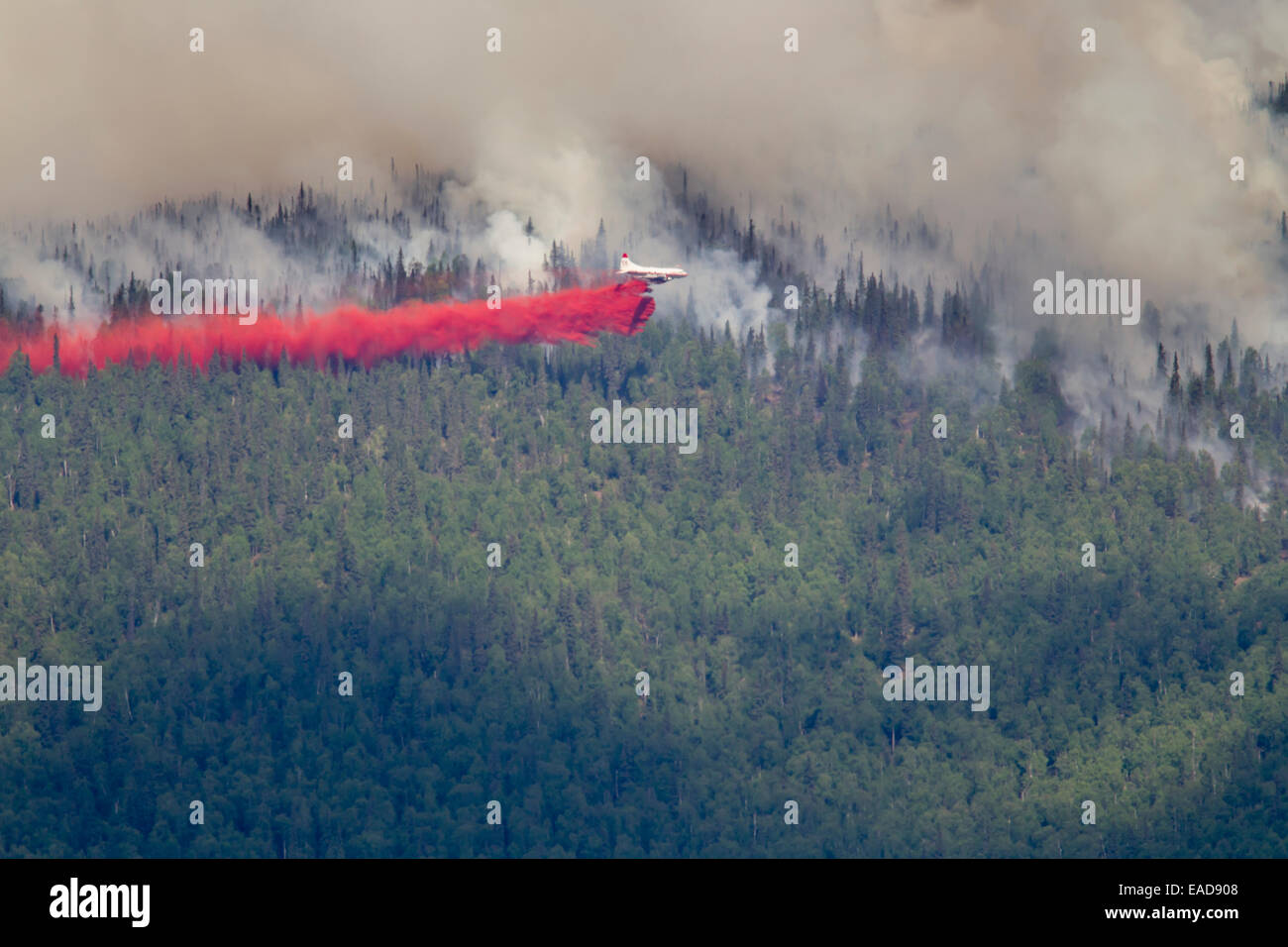 P3 aircraft dumps retardant to suppress the Hastings wildland forest fire near Murphy Dome, North of Fairbanks; Alaska, USA Stock Photo