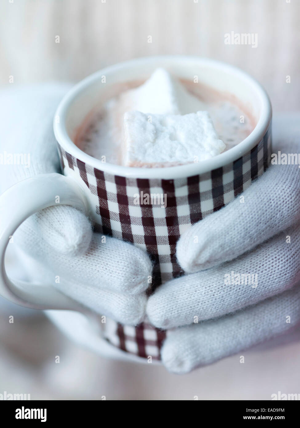 mittened hands holding mug of hot cocoa with marshmallows Stock Photo