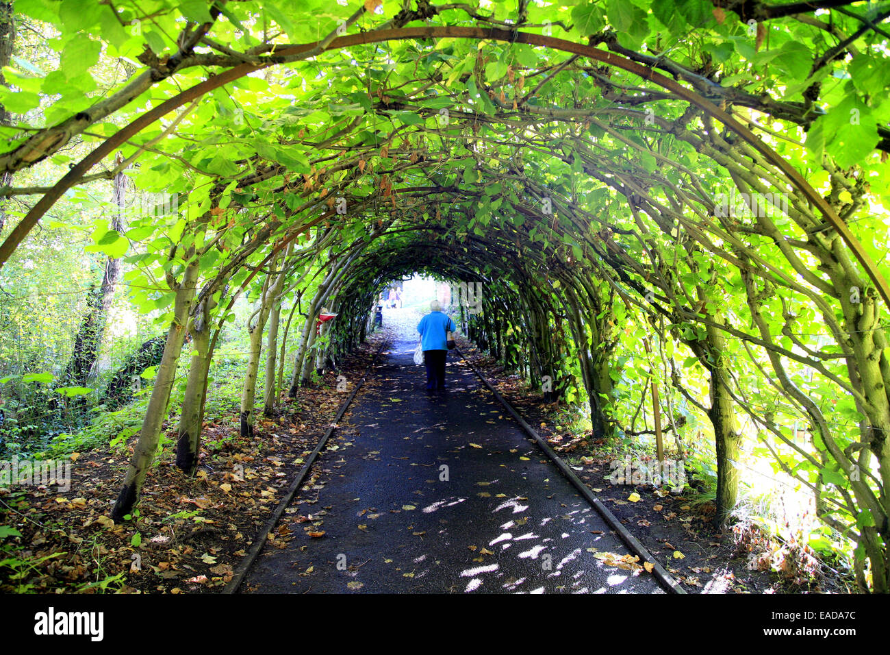 The Tunnel Stream German The Tunnel Stream German