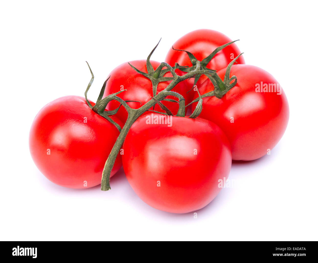 branch of tomatoes on a white background Stock Photo - Alamy