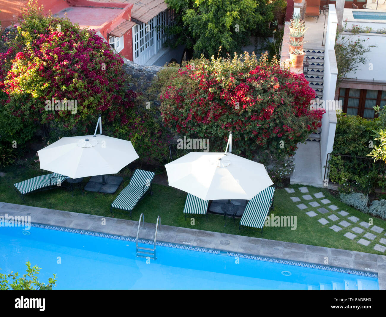Hotel swimming pool and garden with umbrellas and chaise lounge chairs Stock Photo