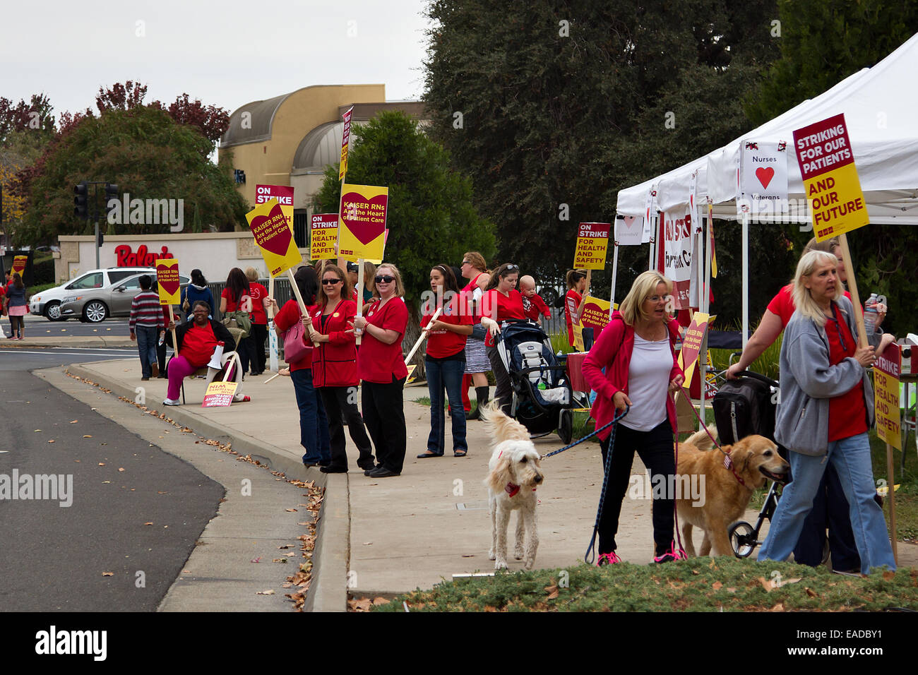 Roseville, California, USA. 11th November, 2014. Roseville California Nurses at Kaiser Permanente walk out over working conditions in Northern California on 11-11-2014. At dispute is staffing problems and patient care. Credit:  Chris Aschenbrener/Alamy Live News Stock Photo