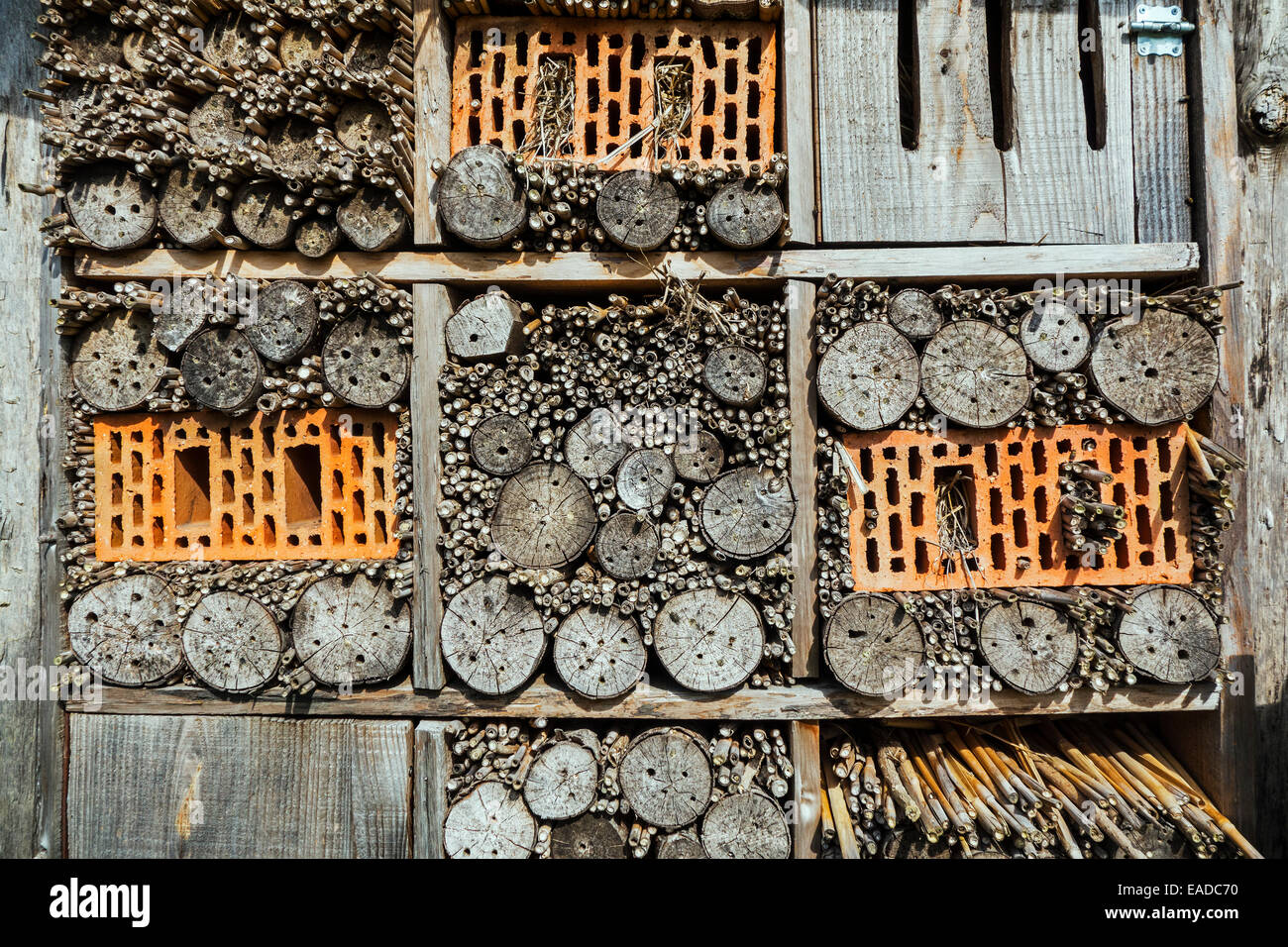 Insect hotel for solitary bees and artificial nesting place for insects / invertebrates with nest holes in hollow stems and wood Stock Photo