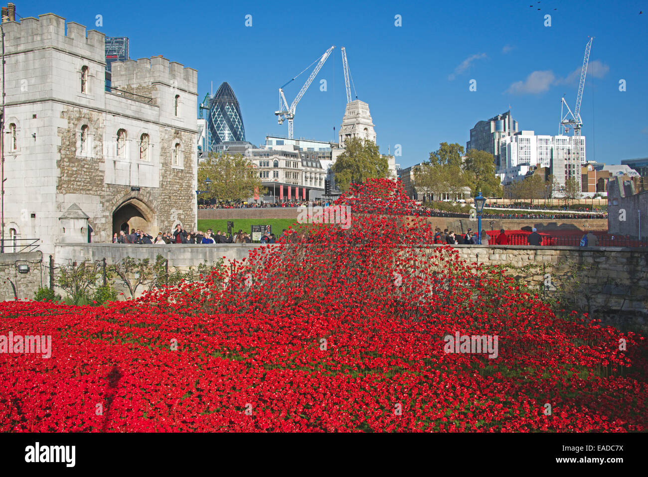 Tower of London ceramic poppies installation London England Stock Photo
