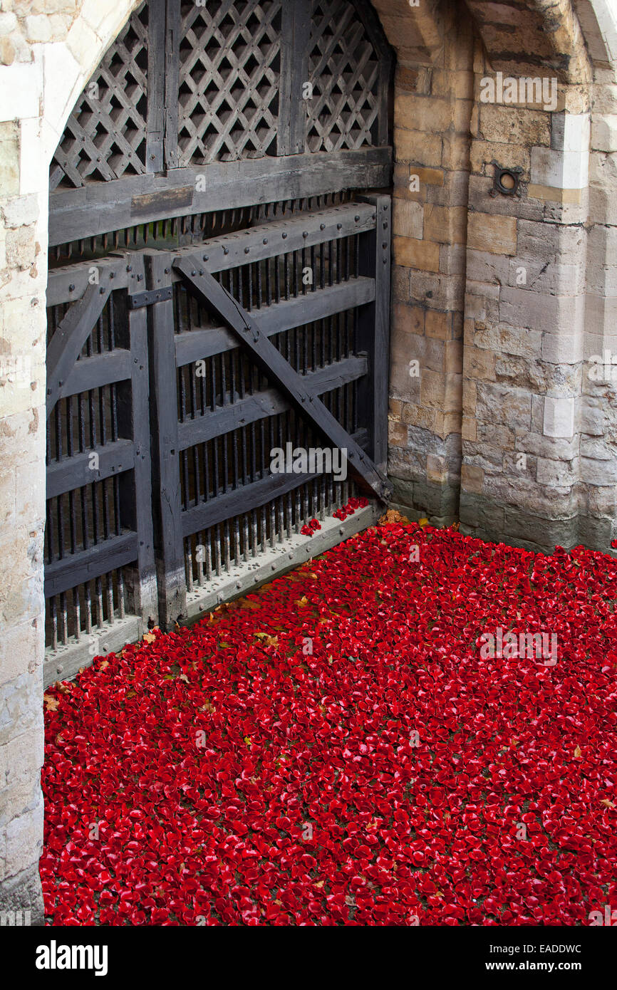 Blood Swept Lands and Seas of Red display at the Tower of London Stock Photo