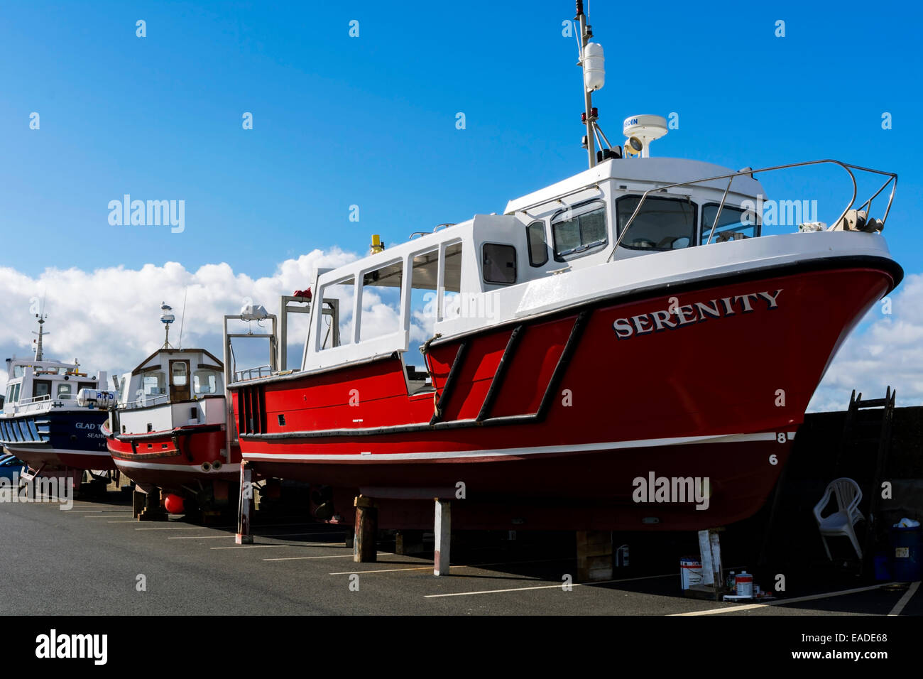 Cruise boats being on the quayside at Seahouses harbour / harbor during re-painting. Stock Photo