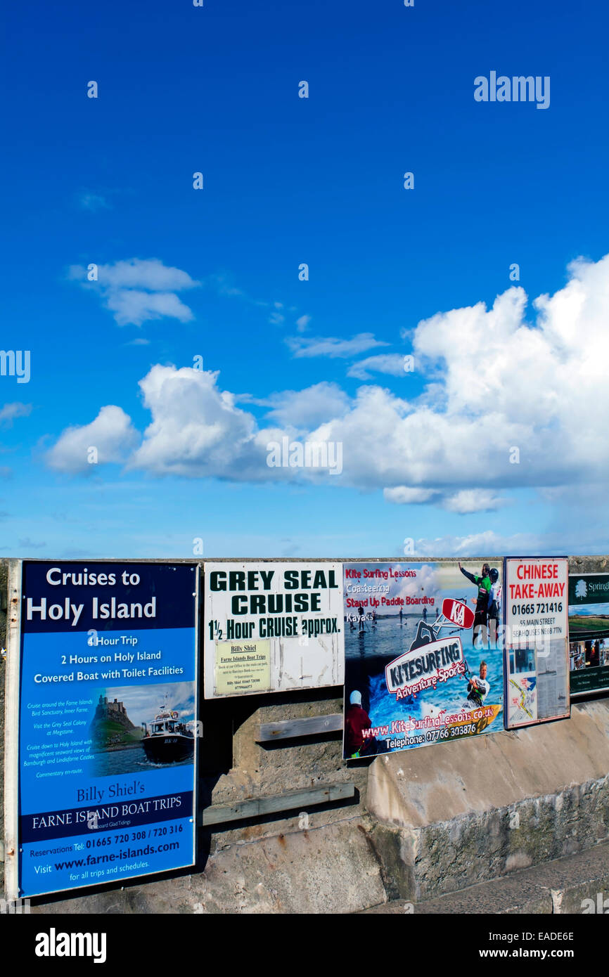 Advertising billboards on the sea wall at Seahouses Harbour, Northumbria, England. Stock Photo