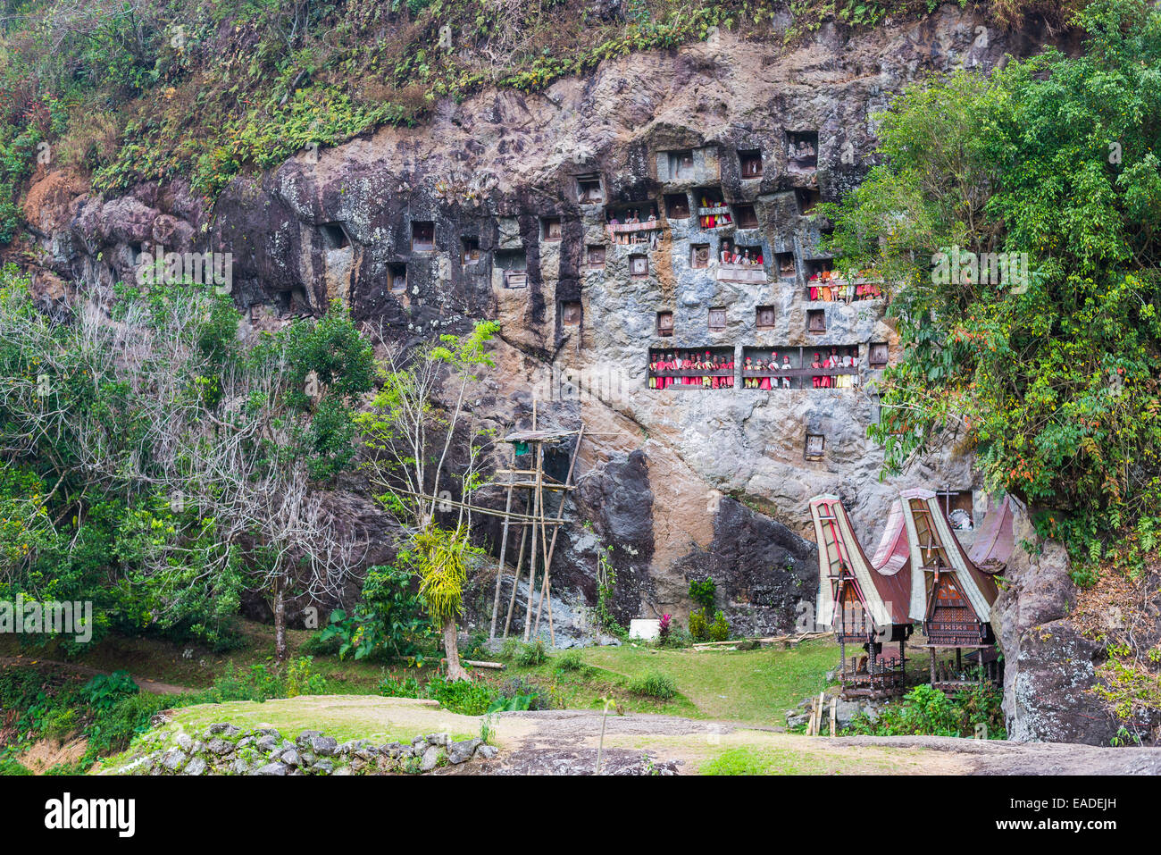 Londa (Tana Toraja, South Sulawesi, Indonesia), Famous Burial Site With ...