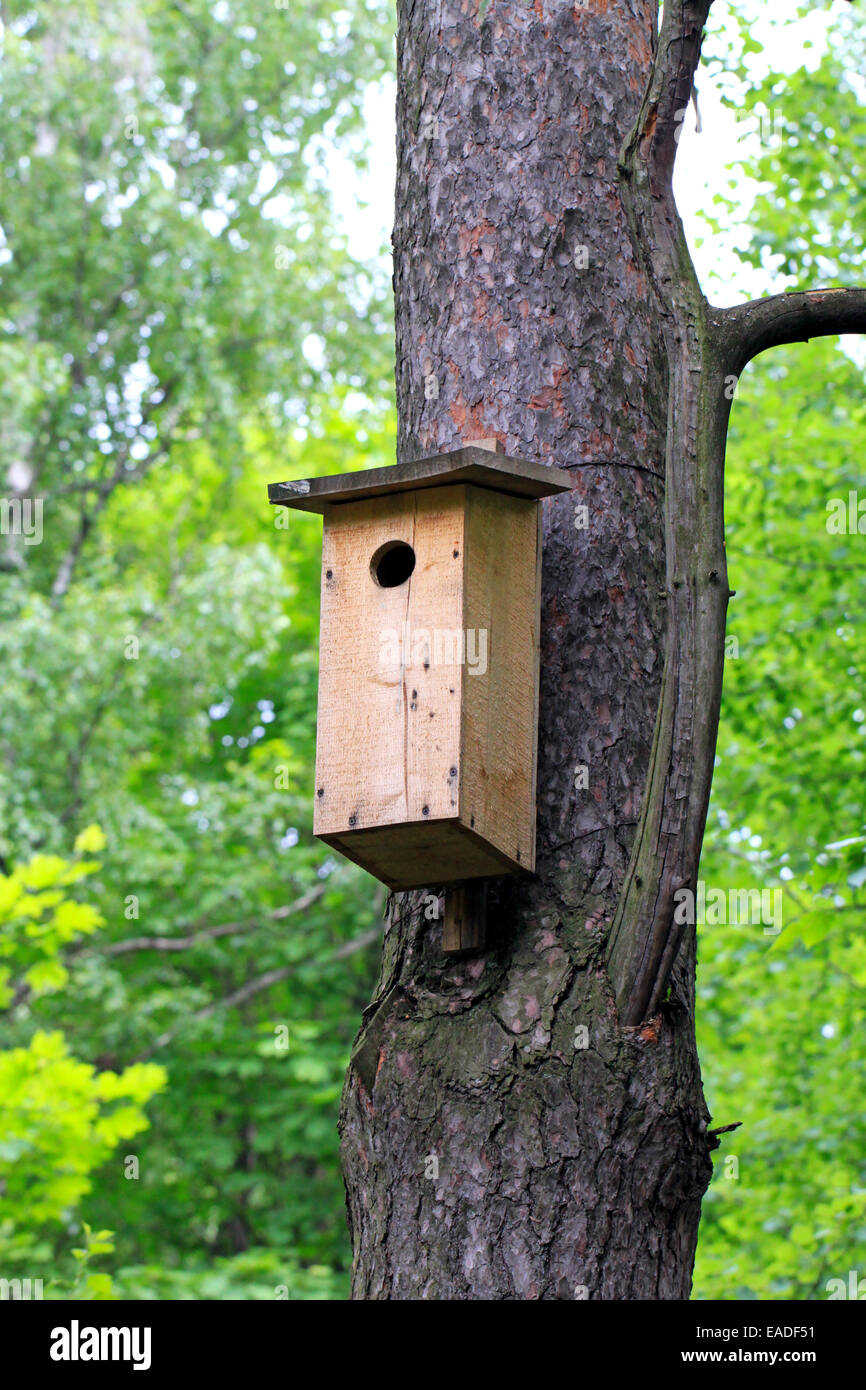 birdhouse hanging from a tree on a background of green trees Stock Photo Alamy