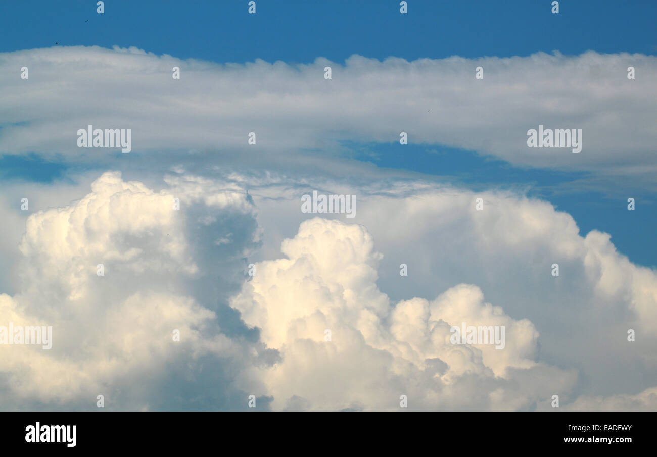 beautiful white cumulus clouds against the blue sky Stock Photo