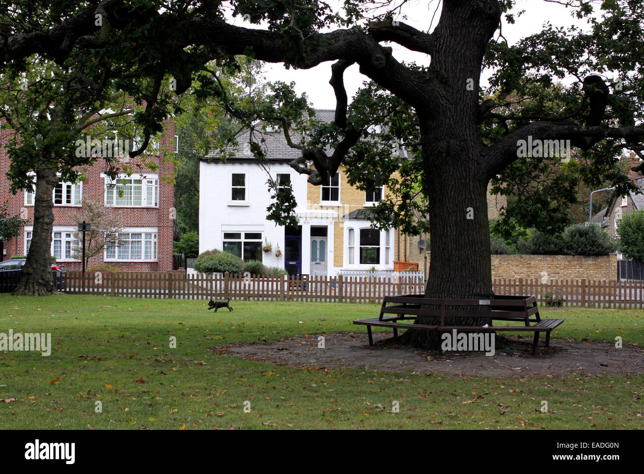 Wanstead Park in East London Stock Photo - Alamy