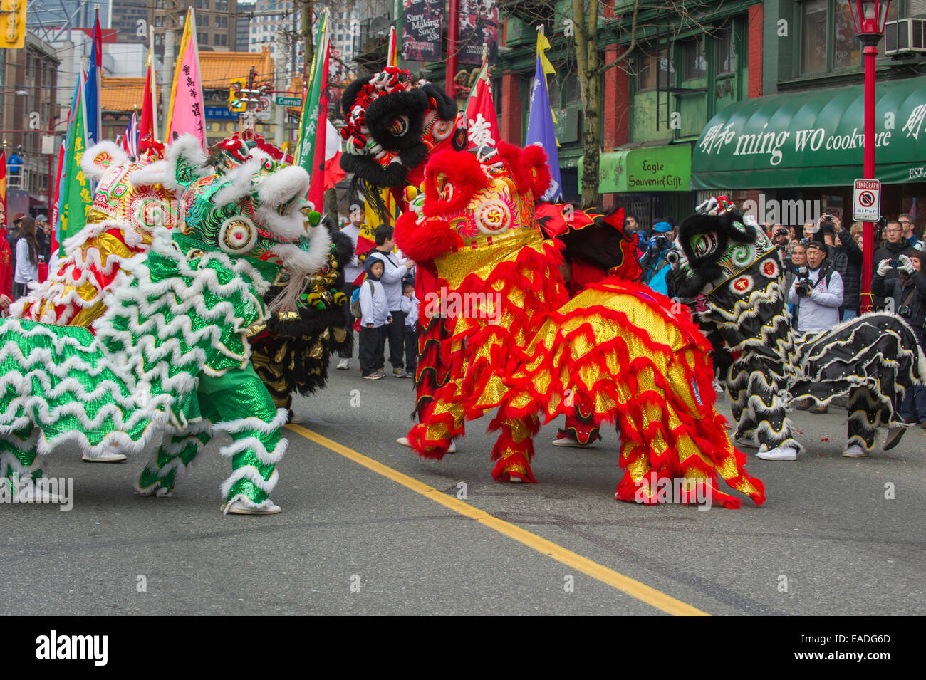 chinese new year lion parade