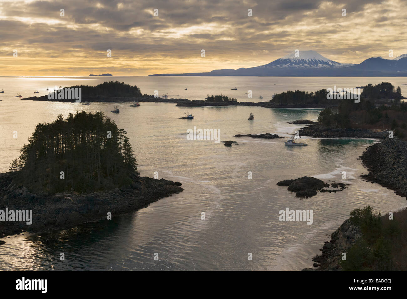 Sitka sound herring fishery hires stock photography and images Alamy