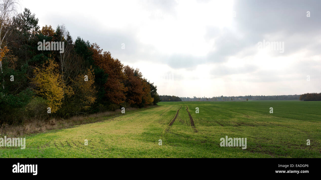 Autumn plowed field before storm panorama Stock Photo
