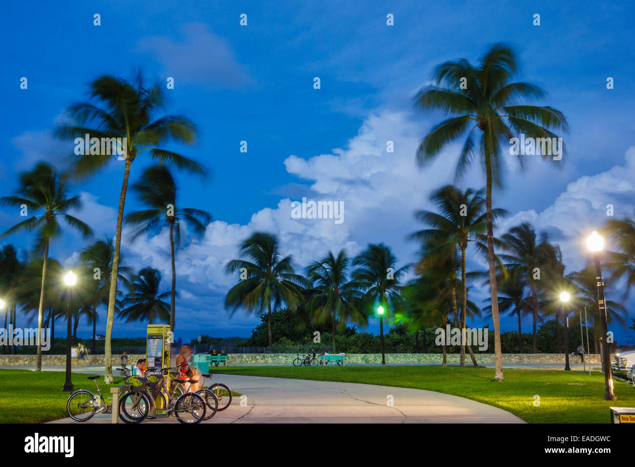 Miami Beach Florida,Ocean Drive,dusk,evening,night,Lummus Park,Serpentine Trail,palm trees,DecoBike Citi Bike CitiBike bike share system station,FL140 Stock Photo