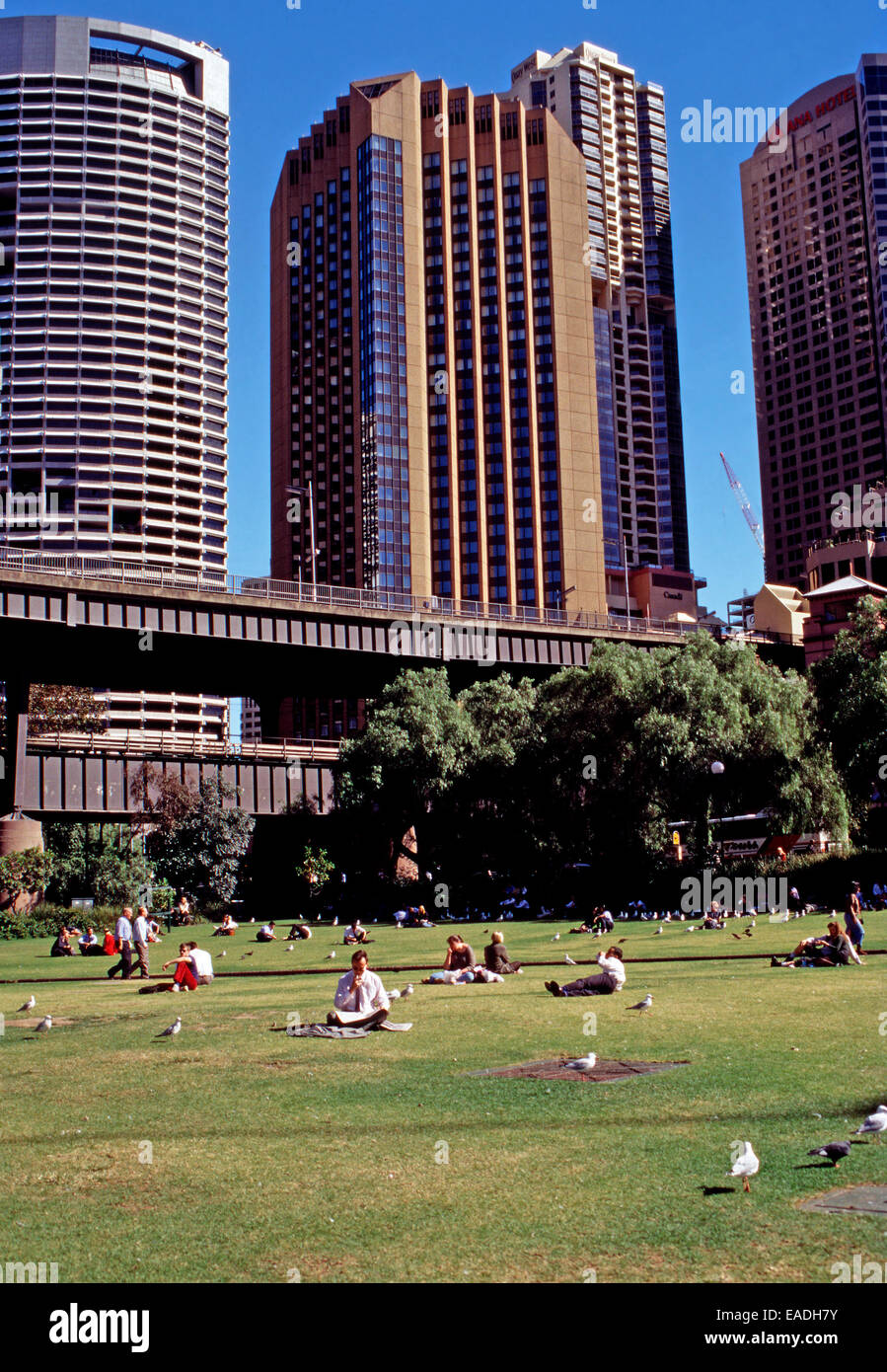 Lunch in the park, Sydney,Australia Stock Photo Alamy