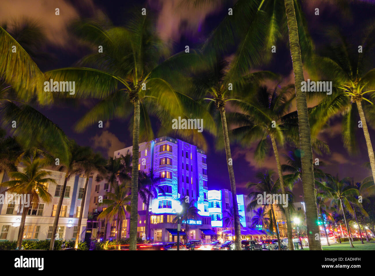 Miami Beach Florida,Ocean Drive,dusk,evening,night,palm trees,Park Central,hotel,building,FL140930011 Stock Photo