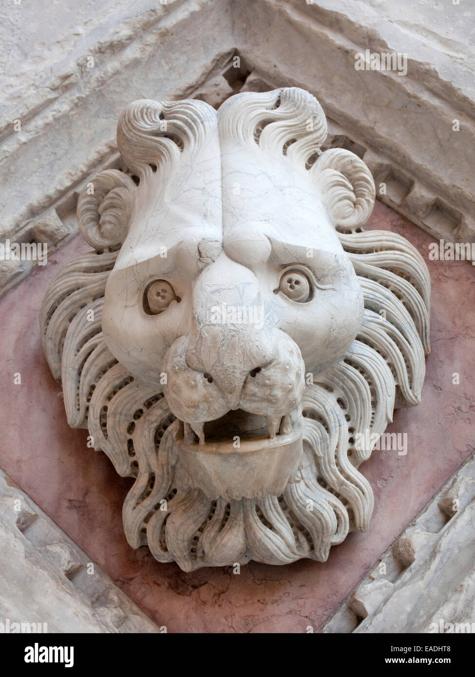 marble detail of carved  head of lion on church in Siena Stock Photo