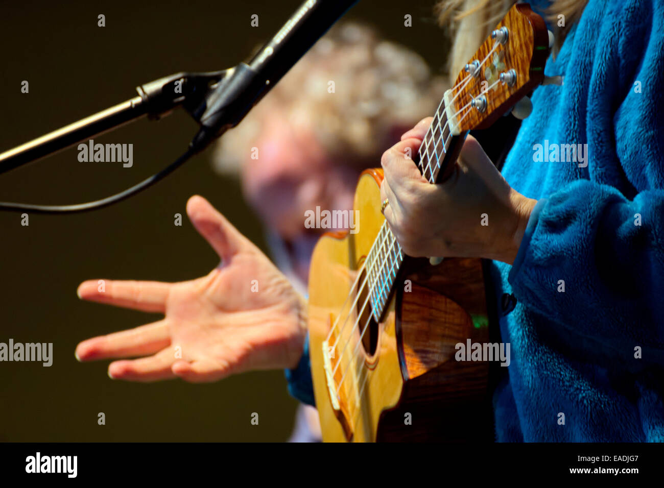 Ukulele and Hands Stock Photo Alamy