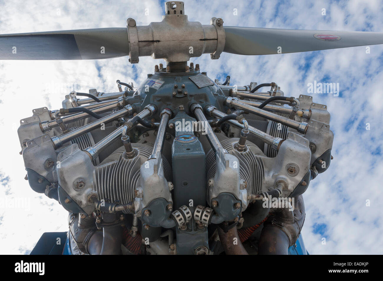 Radial aircraft engine and propeller Stock Photo